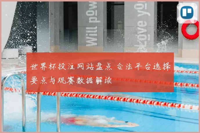 世界杯投注网站盘点 合法平台选择要点与观赛数据解读