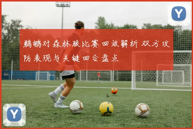 鹈鹕对森林狼比赛回放解析 双方攻防表现与关键回合盘点